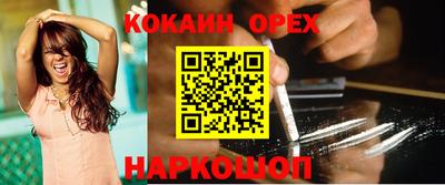 гашик Новозыбков