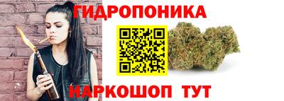 гашик Новозыбков