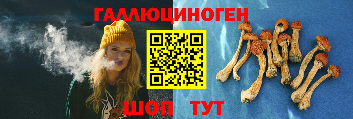 Псилоцибиновые грибы GOLDEN TEACHER Фрязино